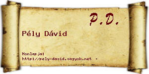 Pély Dávid névjegykártya